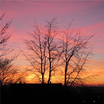 凤凰彩票手机app下载